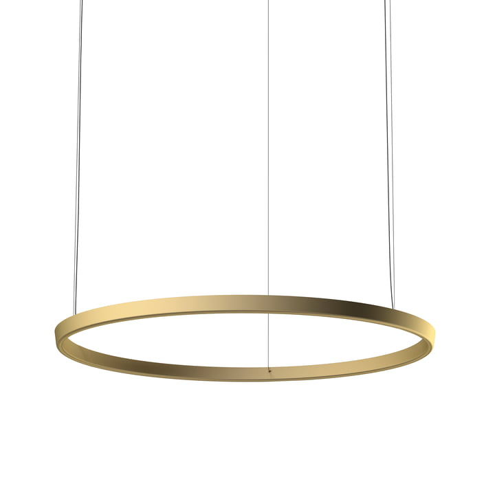 The Compendium Circle D81 LED pendant lamp from Luceplan in brass