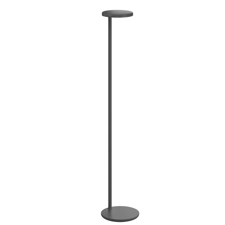 Flos - Oblique LED floor lamp H 107 cm, anthracite
