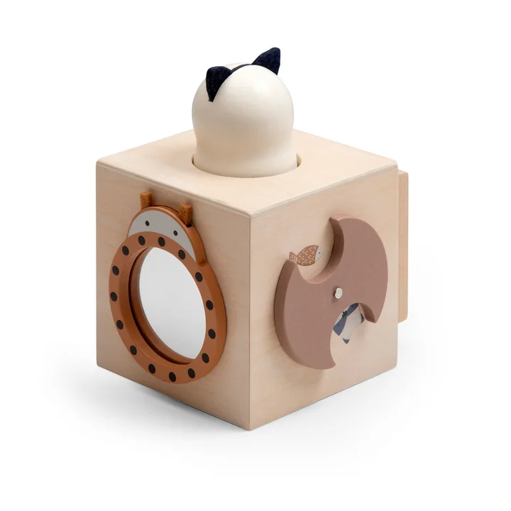 Discovery cube from Sebra