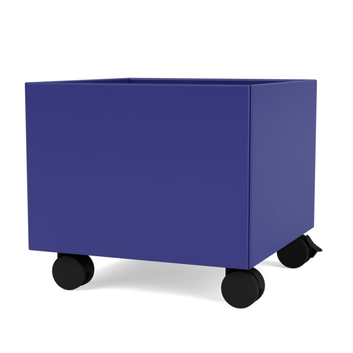 Mini Play-Box Storage box from Montana in color monarch