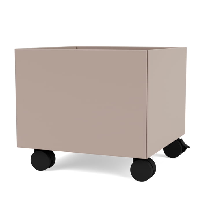 Mini Play-Box Storage box from Montana in the color mushroom