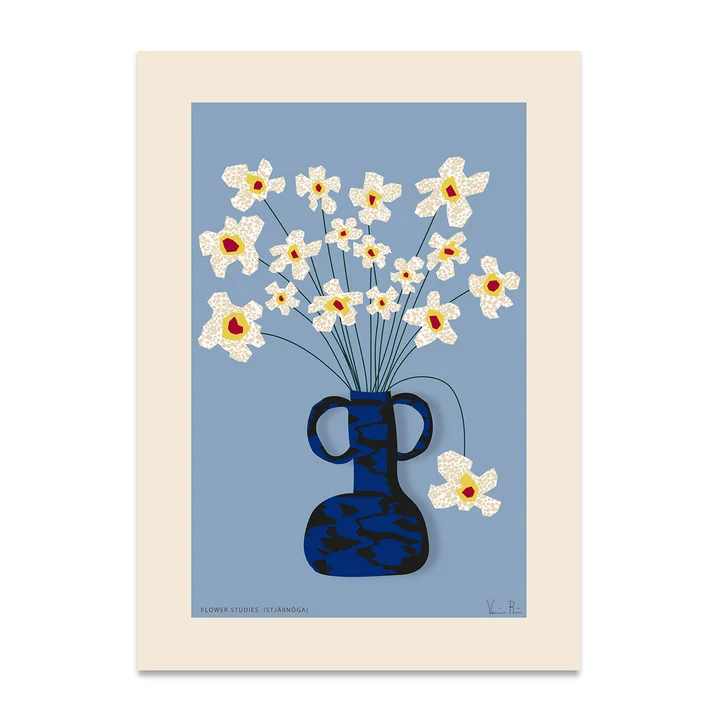Flower Studies 04 (Stjärnöga) poster from Paper Collective in the version 50 x 70 cm