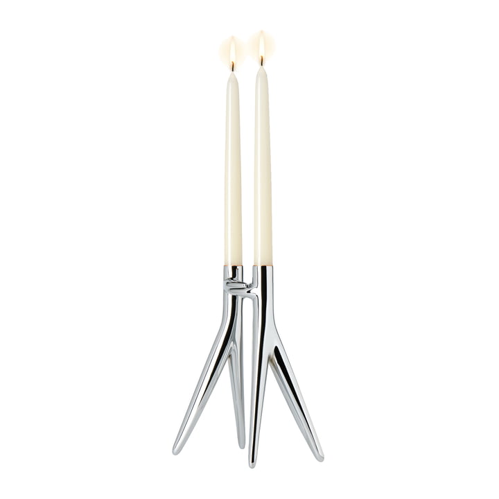 Abbracciaio Candlestick, chrome glossy from Kartell