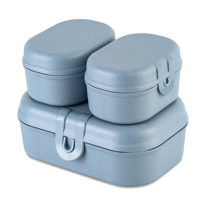 Koziol - Pascal Ready Mini lunchbox set, nature flower blue (set of 3)