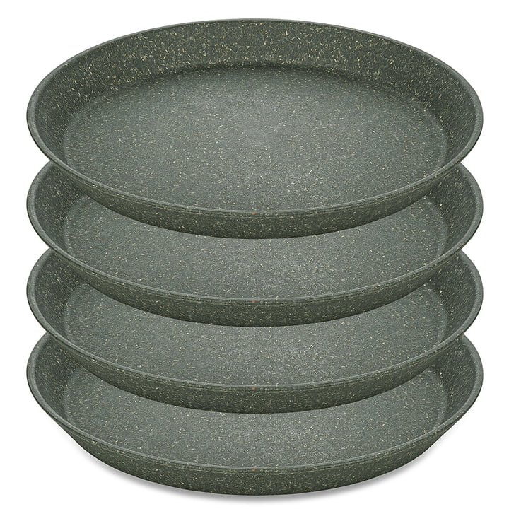 Koziol - CONNECT PLATE Small plate, 20.5 cm, nature ash gray (set of 4)