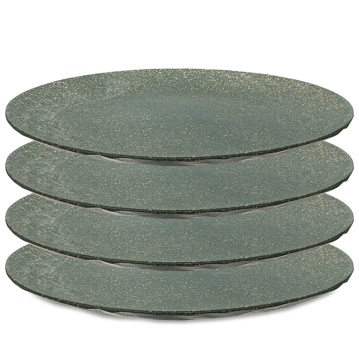 Koziol - CLUB PLATE Flat plate, 26 cm, nature ash grey (set of 4)