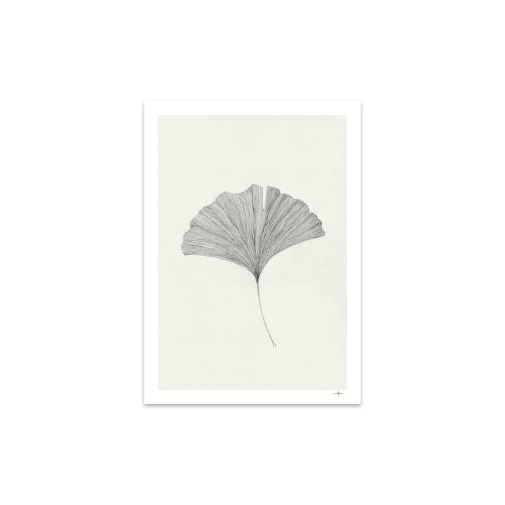 Ginkgo Leaf by Ana Frois, 30 x 40 cm from The Poster Club