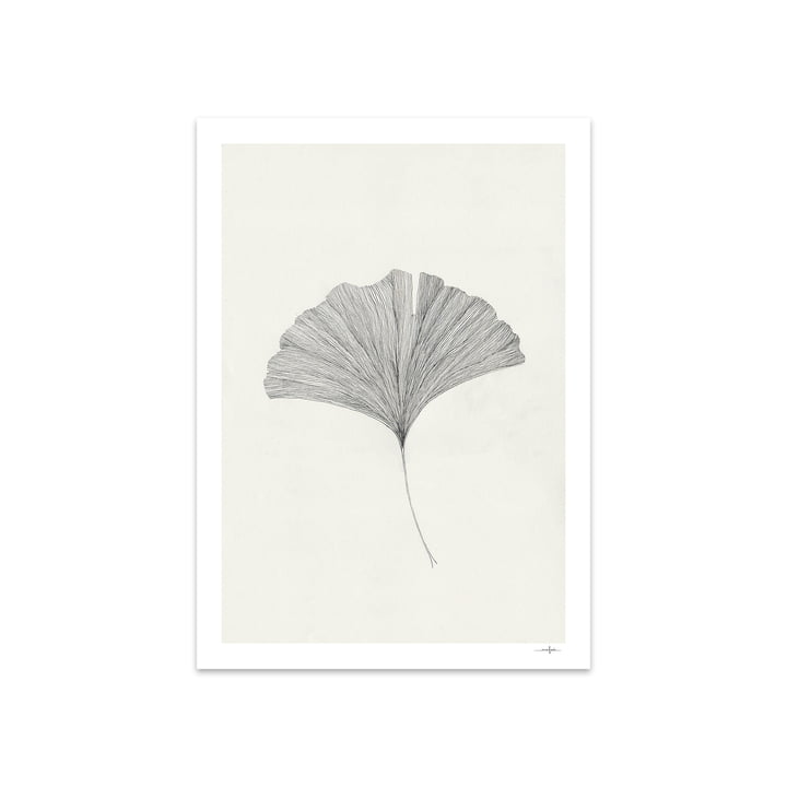 Ginkgo Leaf by Ana Frois, 50 x 70 cm from The Poster Club