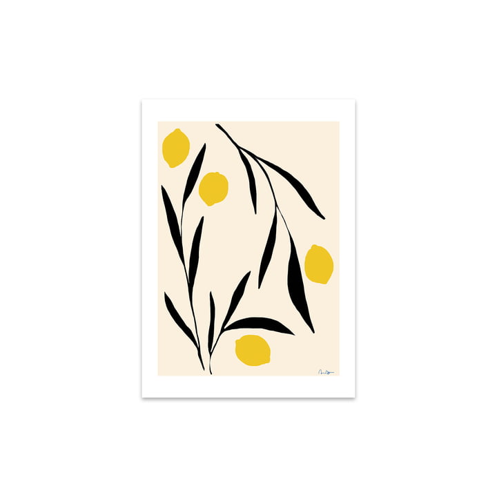 Lemon by Anna Mörner, 30 x 40 cm