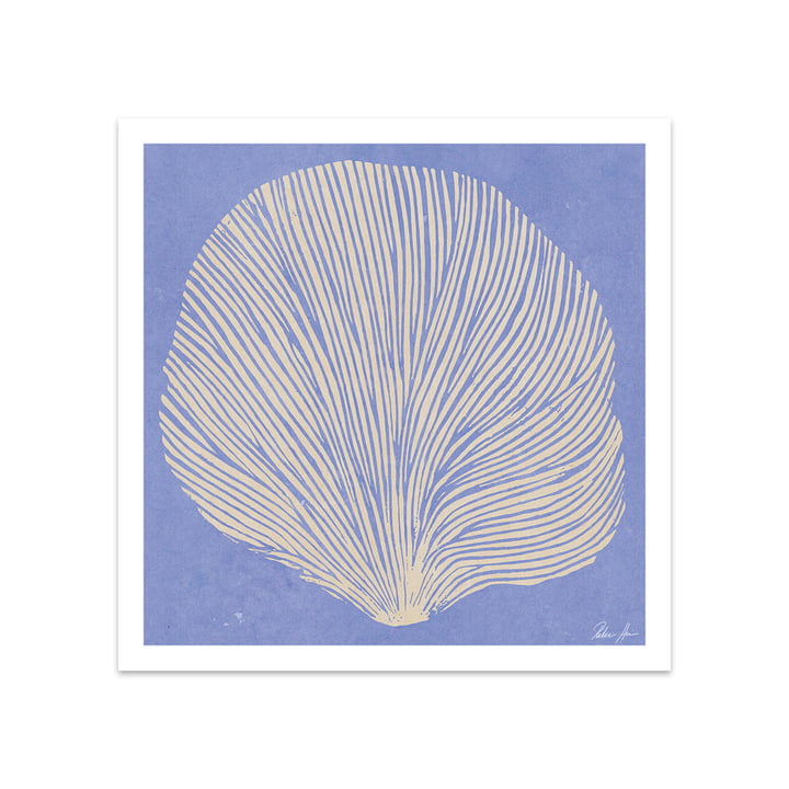 Sea Lavender by Rebecca Hein, 50 x 50 cm by The Poster Club