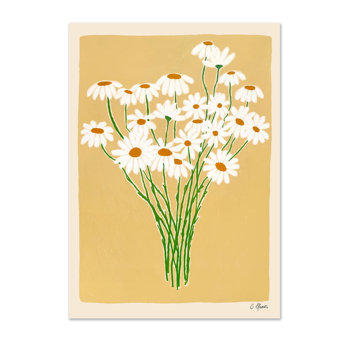 Daisies by Carla Llanos for The Poster Club