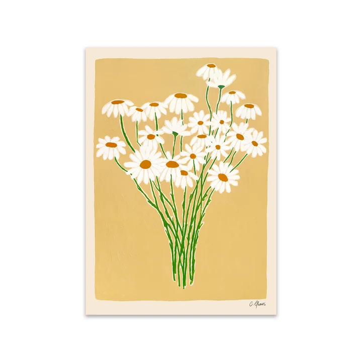 Daisies by Carla Llanos for The Poster Club