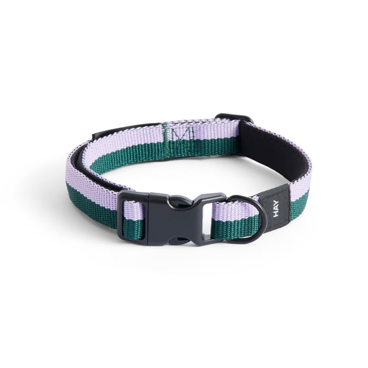Dogs Dog collar, S/M lavender / green by Hay