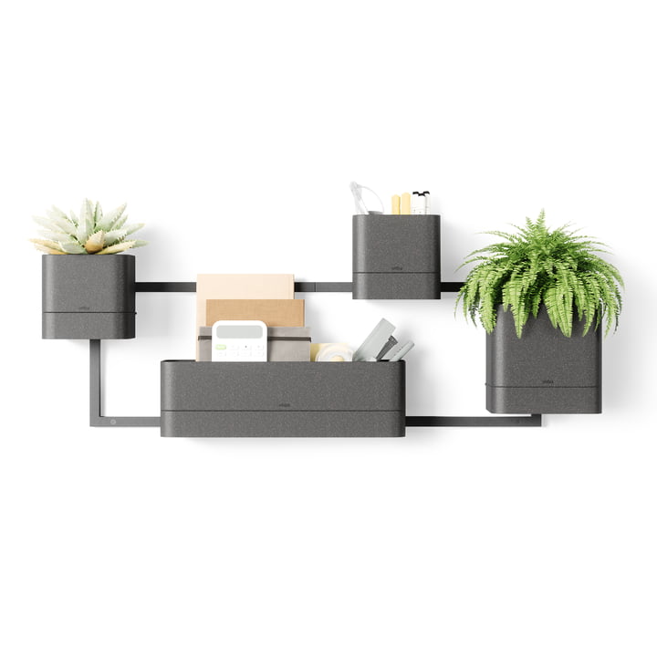 Cubiko Wall plant box, black from Umbra