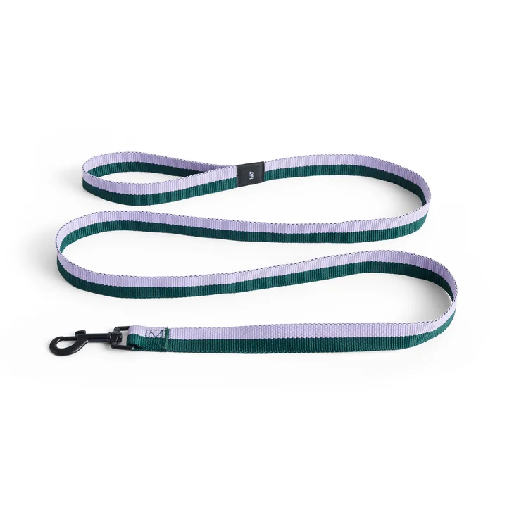 HAY - Dogs Dog lead, M/L lavender / green
