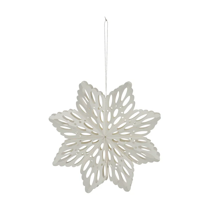 Snowflake from House Doctor