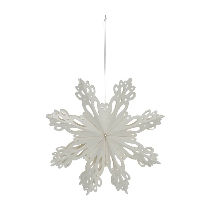 Snowflake from House Doctor