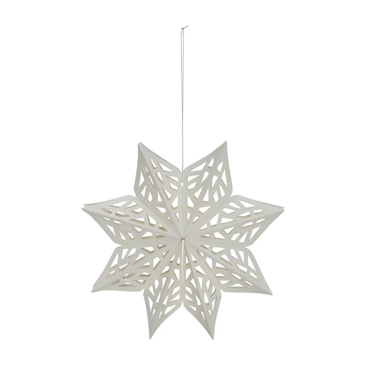 Snowflake from House Doctor