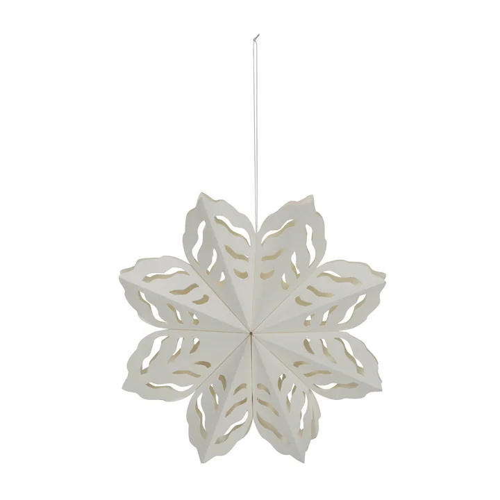 Snowflake from House Doctor