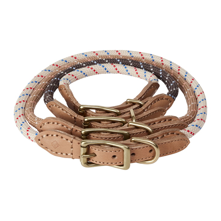 OYOY ZOO - Perry Dog collar