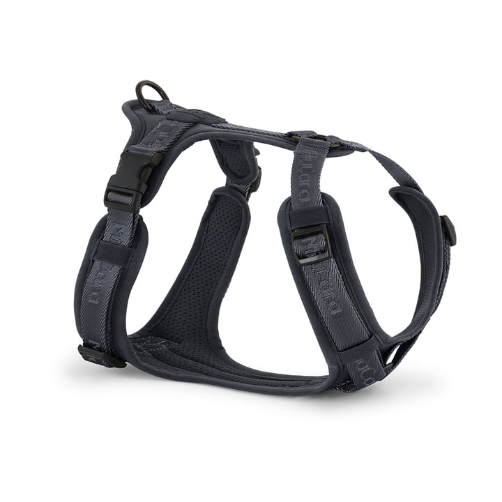 MiaCara - Modena Harness M, asphalt