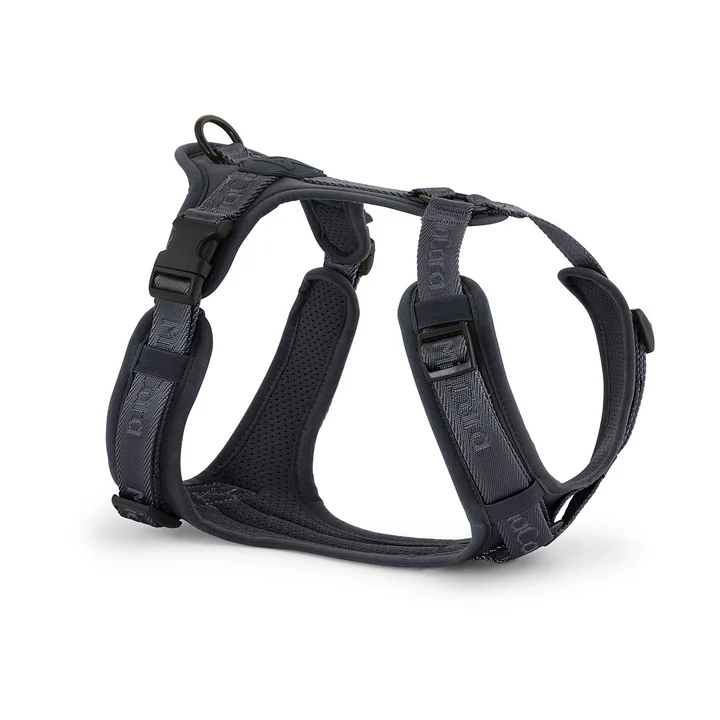 MiaCara - Modena Harness M, asphalt