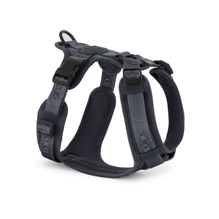 MiaCara - Modena Harness S, asphalt