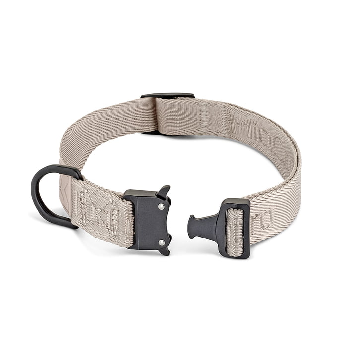 Modena Dog collar from MiaCara