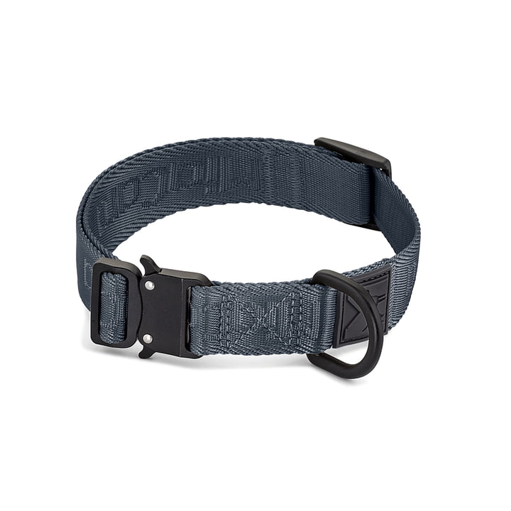 Modena Dog collar from MiaCara