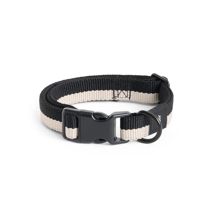 HAY - Dogs Dog collar, S/M, black / white