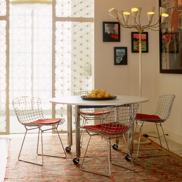 Bertoia Steel chair at the dining table