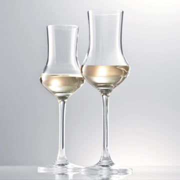 Digestif Grappa Glass from Schott Zwiesel