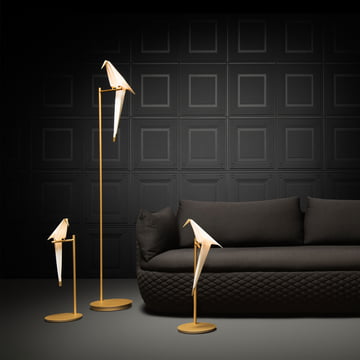 Perch Light LED floor lamp, brass / white Ambiente by Moooi