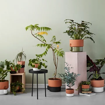 Aesthetic planters