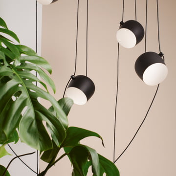The AIM LED pendant lamp from Flos next to a houseplant