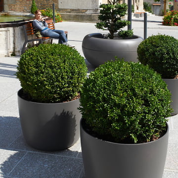 The Kyoto plant pot from Eternit with box trees