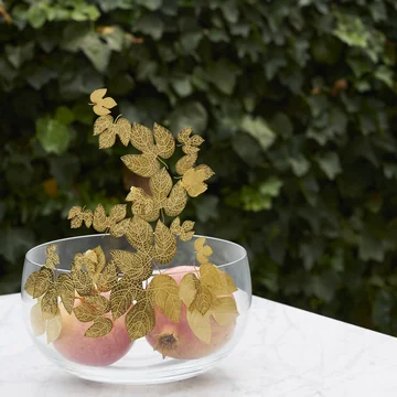 Frutteti Bowl from Opinion Ciatti