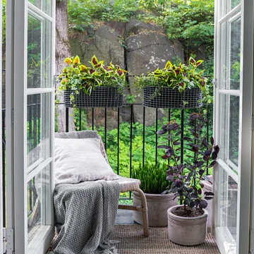 The Balcony Basket of Korbo