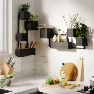 Cubiko Wall plant box, black from Umbra