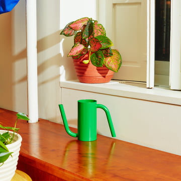 Tango Watering can from Areaware
