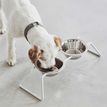 Cena Bowl stand from MiaCara