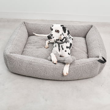 MiaCara - Senso Dog bed
