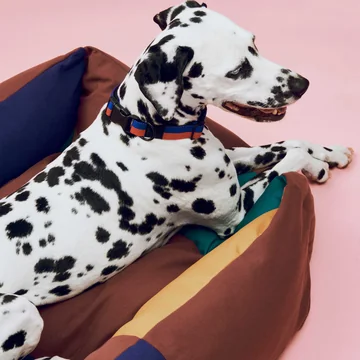 HAY - Dogs - Bed - M - Situation