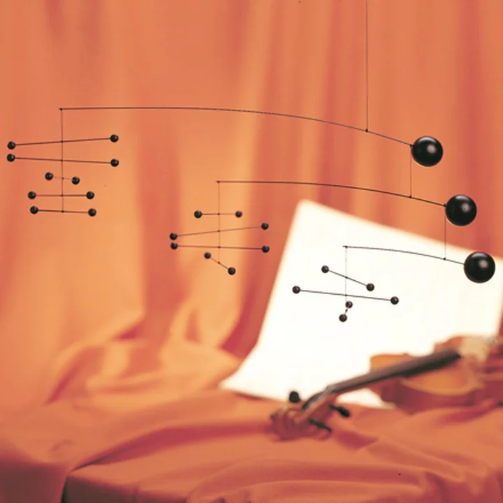 Complex mobile for hanging