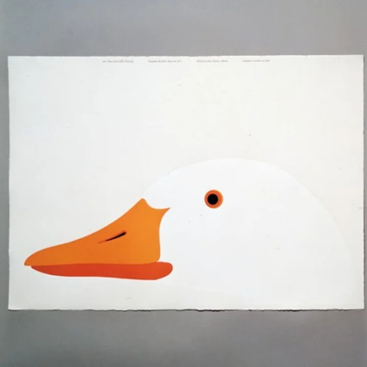 Graphic "Otto, l’oca"