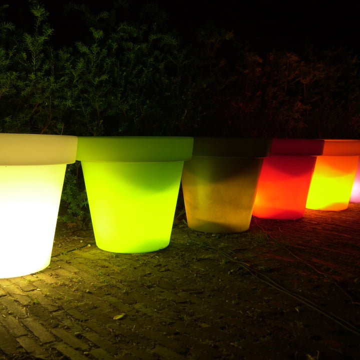 Bloom Pot with Lighting | Online Shop Connox