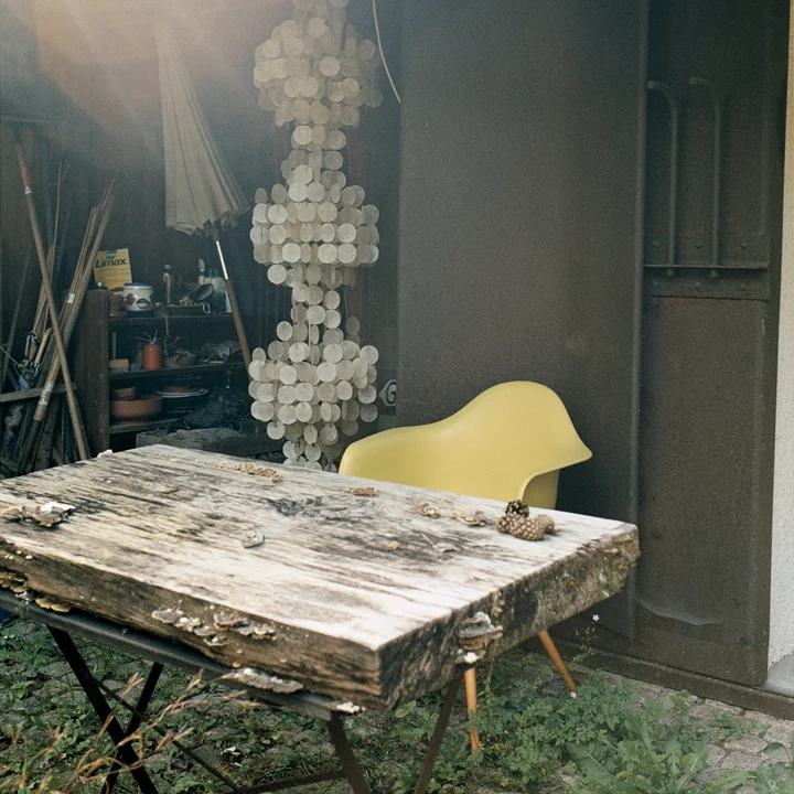 Eames Plastic Armchair DAW from Vitra at your desk