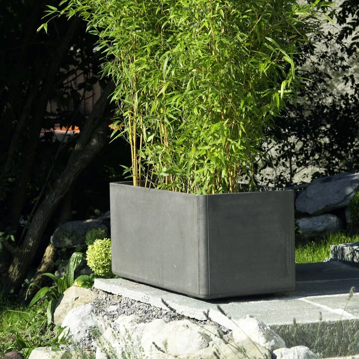 The Delta Plant pot 45 from Eternit with a high shrub