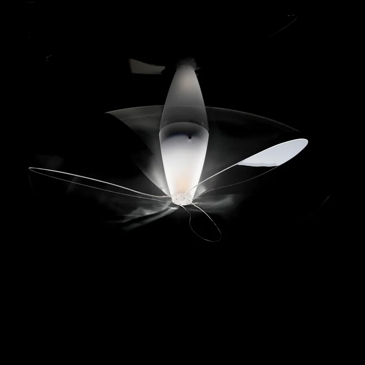 Blow Fan / Ceiling light from Luceplan