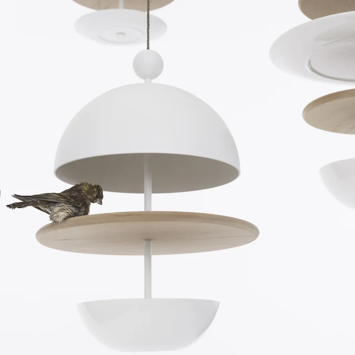 Frederik Roijé - Dish of Desire Feeding Station